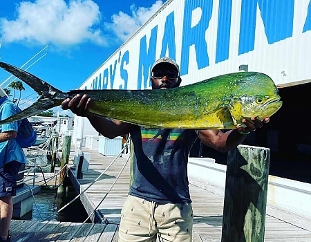 Man proudly poses with huge fish caught on night fishing trip.